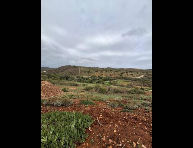 LAND FOR SALE IN OUTENIQUASBOSCH